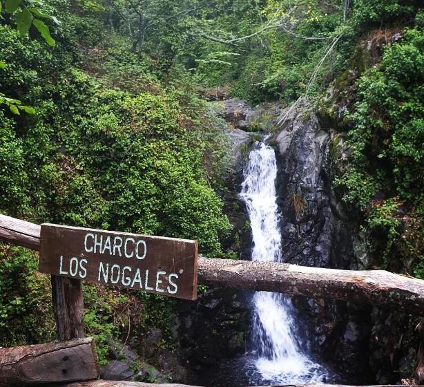 فندق ريفى Rural Los Molinillos