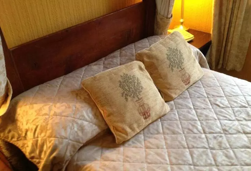 Отель Ty Newydd Country