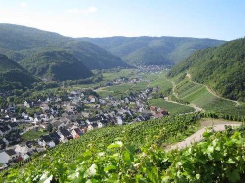 هتل Restaurant Zum Sänger An Der Ahr