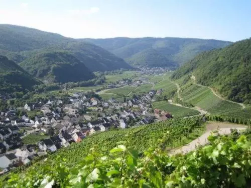 هتل Restaurant Zum Sänger An Der Ahr