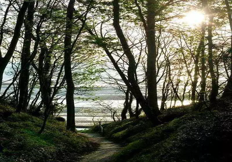 Priory Bay Hotel Golf Beach