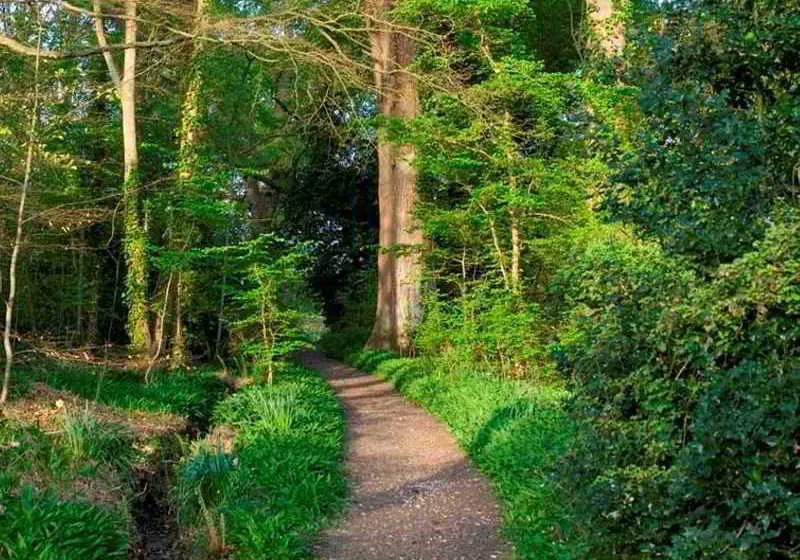 Priory Bay Hotel Golf Beach