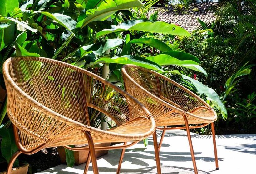 پانسیون Casas Natureza Brasil