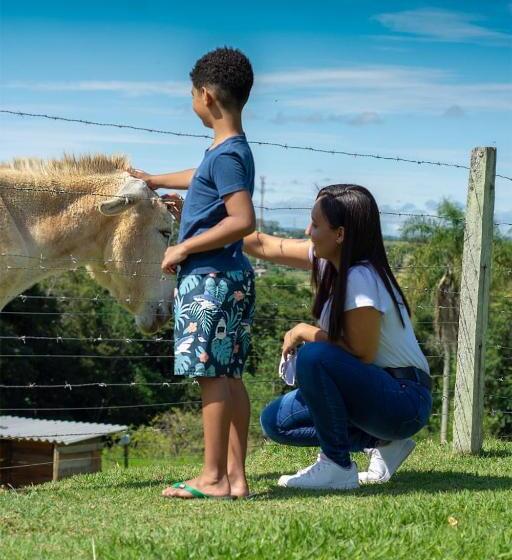 膳宿费 Pousada Sitio Da Terra E Arte