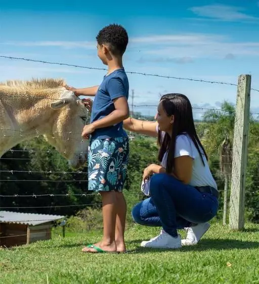ペンション Pousada Sitio Da Terra E Arte