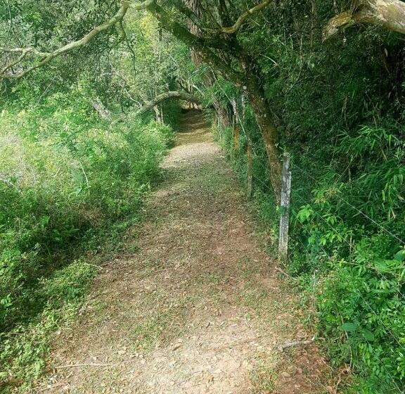 膳宿费 Pousada Sitio Da Terra E Arte