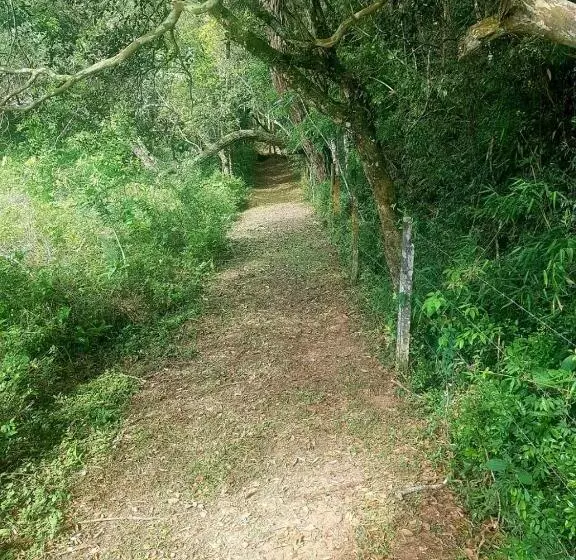 ペンション Pousada Sitio Da Terra E Arte