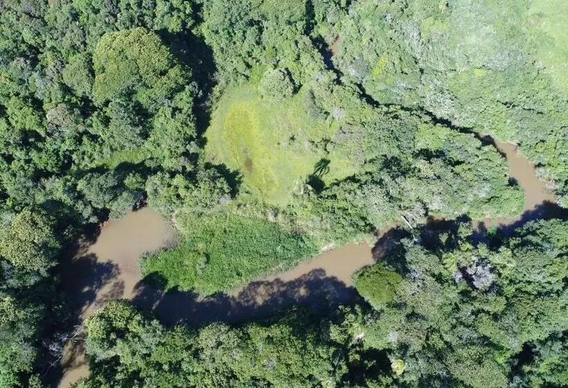 ペンション Pousada Sitio Da Terra E Arte