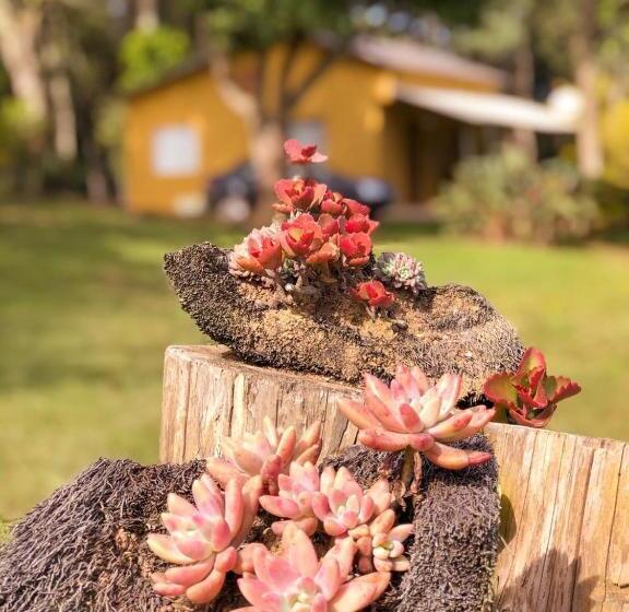 膳宿费 Pousada Sitio Da Terra E Arte