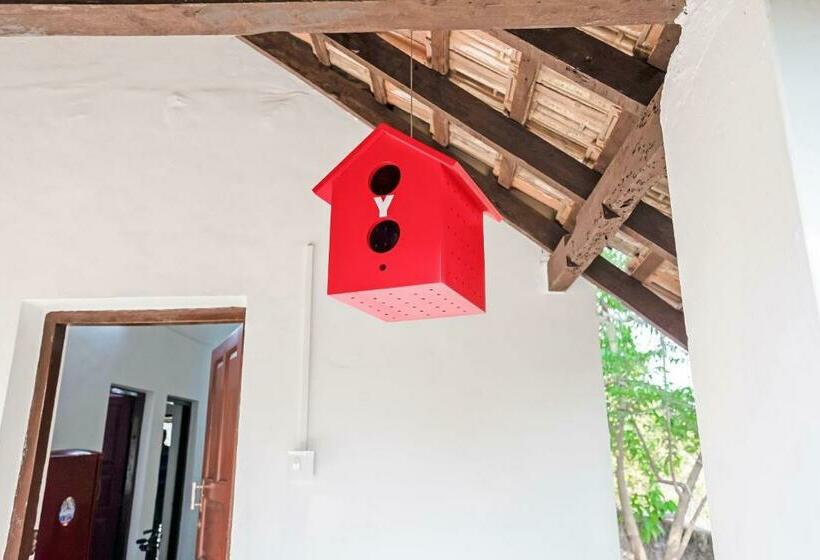 ペンション Vaccinated Staff  Oyo 30634 Graceful 2 Bhk Anjuna