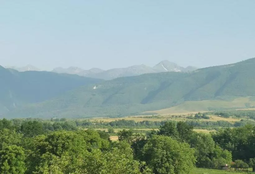 Pensiunea Anidor