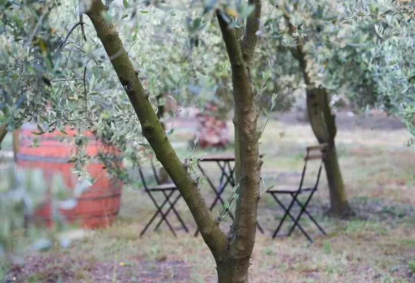Aamiaismajoitus (B&B) Dimora Di Campagna Alle Falde Del Vesuvio