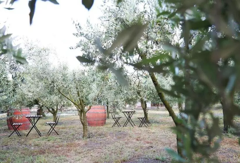 Aamiaismajoitus (B&B) Dimora Di Campagna Alle Falde Del Vesuvio