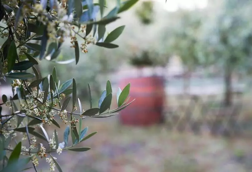 Aamiaismajoitus (B&B) Dimora Di Campagna Alle Falde Del Vesuvio