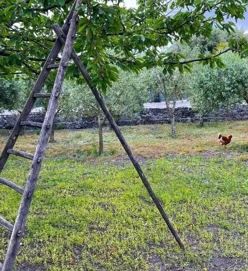 Aamiaismajoitus (B&B) Dimora Di Campagna Alle Falde Del Vesuvio