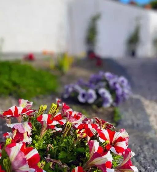 Aamiaismajoitus (B&B) Dimora Di Campagna Alle Falde Del Vesuvio