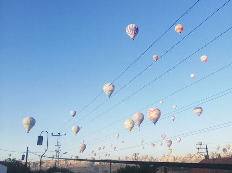 호텔 Heritage Cave Inn