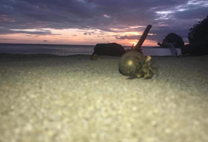 בית מלון כפרי Nandel Beach Resort