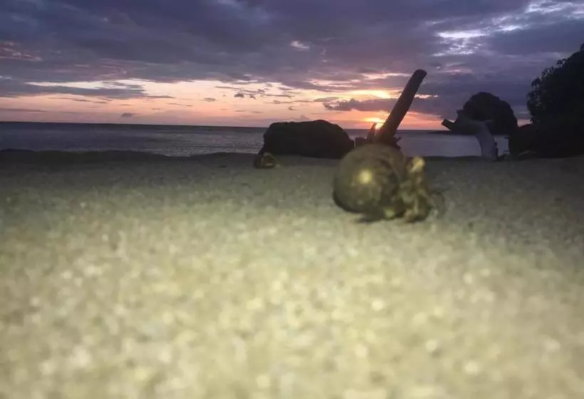 Hotelli Nandel Beach Resort