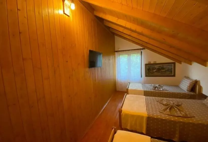 ペンション Bixhaku Guesthouse