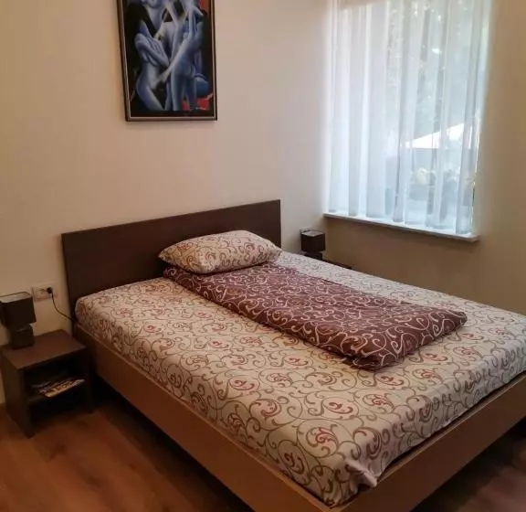 پانسیون Guest House Baltika