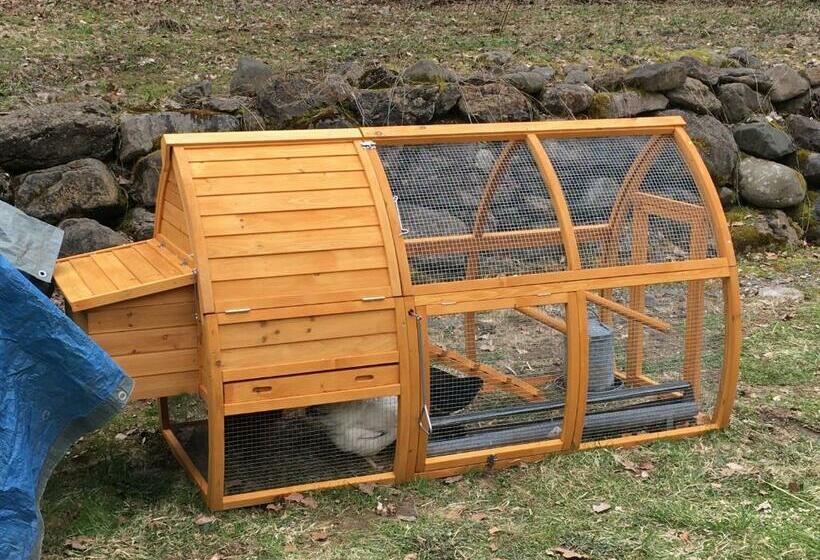 Пансион Room In Guest Room   Les Gets Room For 4 People