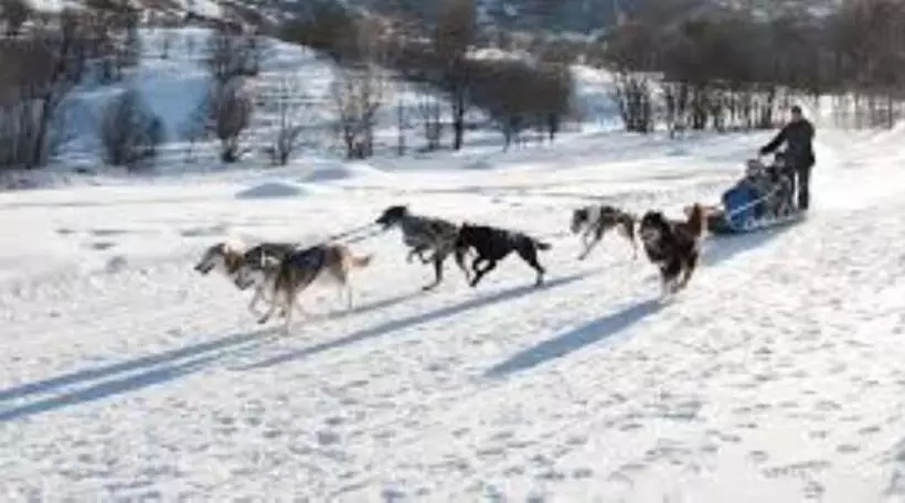 Résidence Lac Du Lou   Les Ménuires