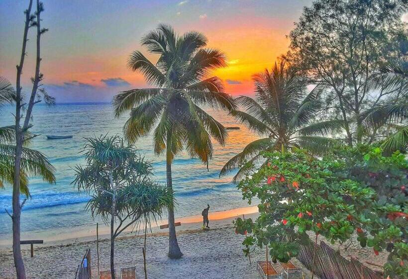 酒店 Ayla Beach House