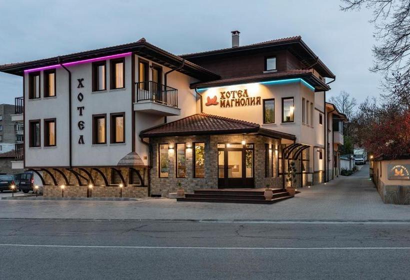 ホテル семеен хотел магнолия