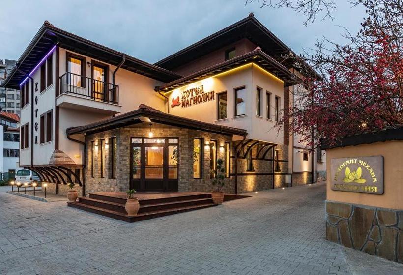 ホテル семеен хотел магнолия