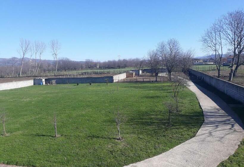 Отель Agriturismo Carlo Cioffi