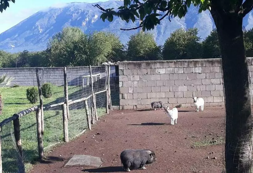 ホテル Agriturismo Carlo Cioffi