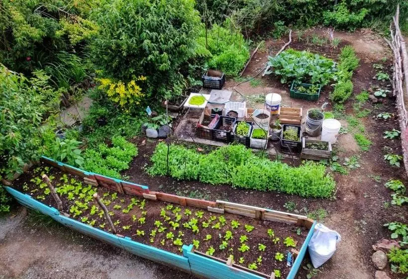 Hotelli Hostal La Casa Del Carpintero