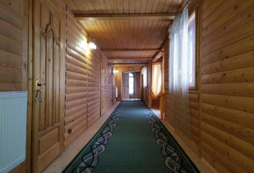 פנסיון у ірини