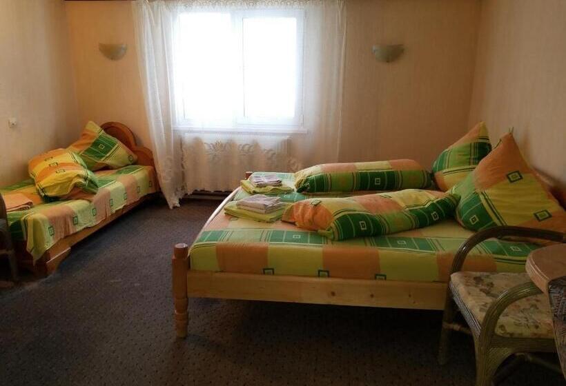 פנסיון у ірини