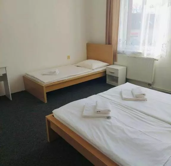 ペンション Pivovar Malý Janek   Restaurace, Penzion A Stany