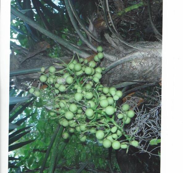 호스텔 Posada Los Reyecitos