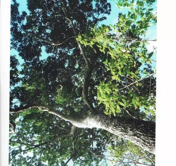 Retkeilymaja Posada Los Reyecitos