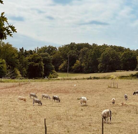 Bed and Breakfast Chateau Carbonneau
