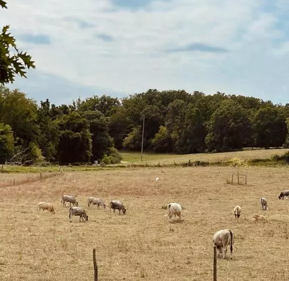 Aamiaismajoitus (B&B) Chateau Carbonneau
