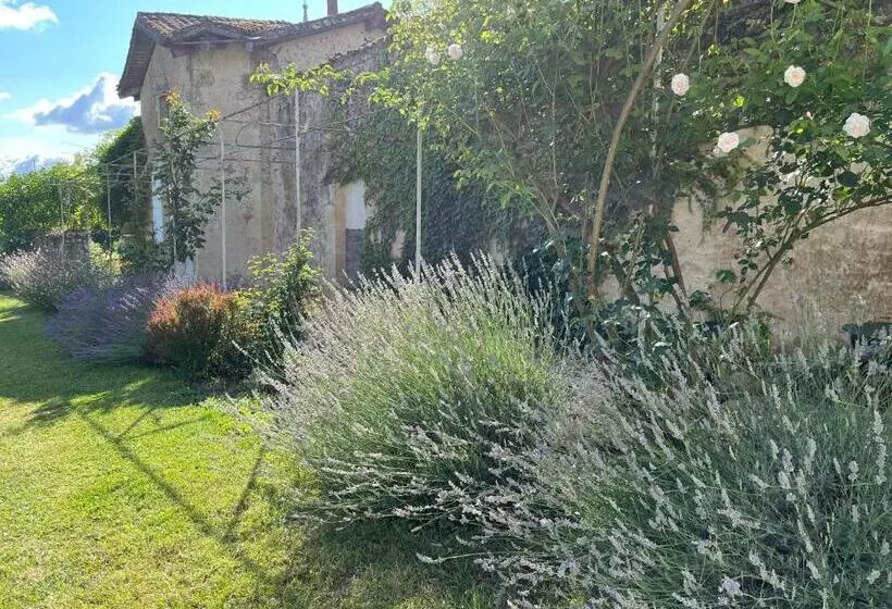 Aamiaismajoitus (B&B) Chateau Carbonneau