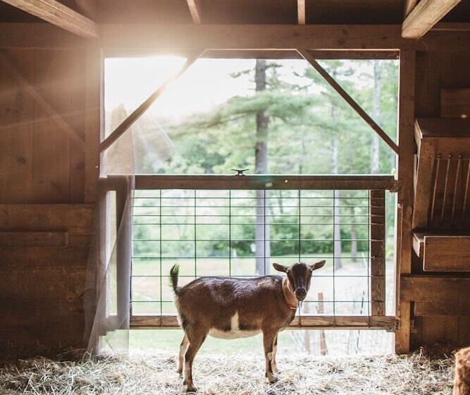 مبيت وإفطار The Squire Tarbox Inn