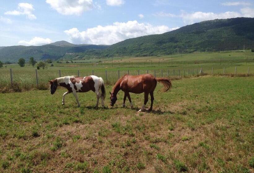 酒店 Agriturismo Centuria