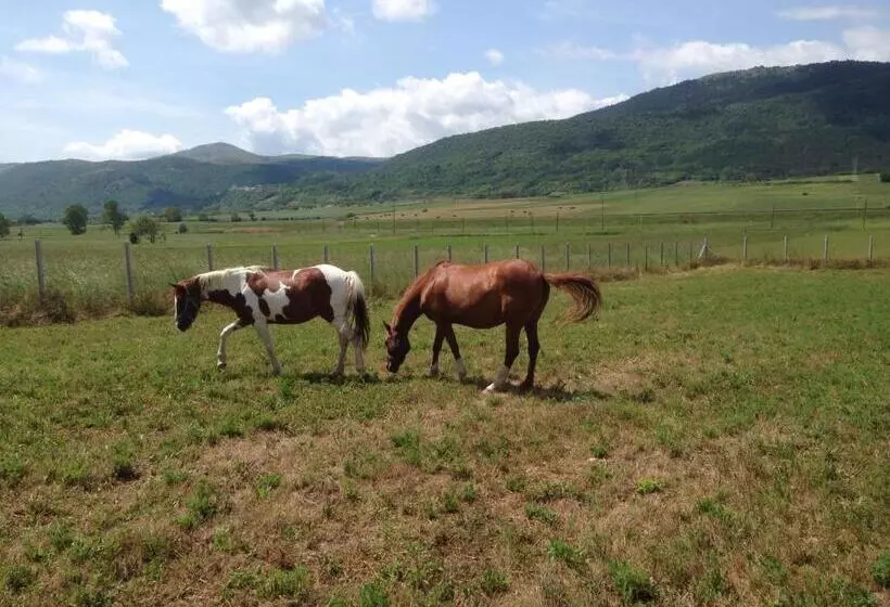 ホテル Agriturismo Centuria