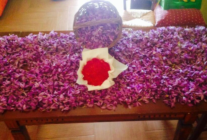 酒店 Agriturismo Centuria