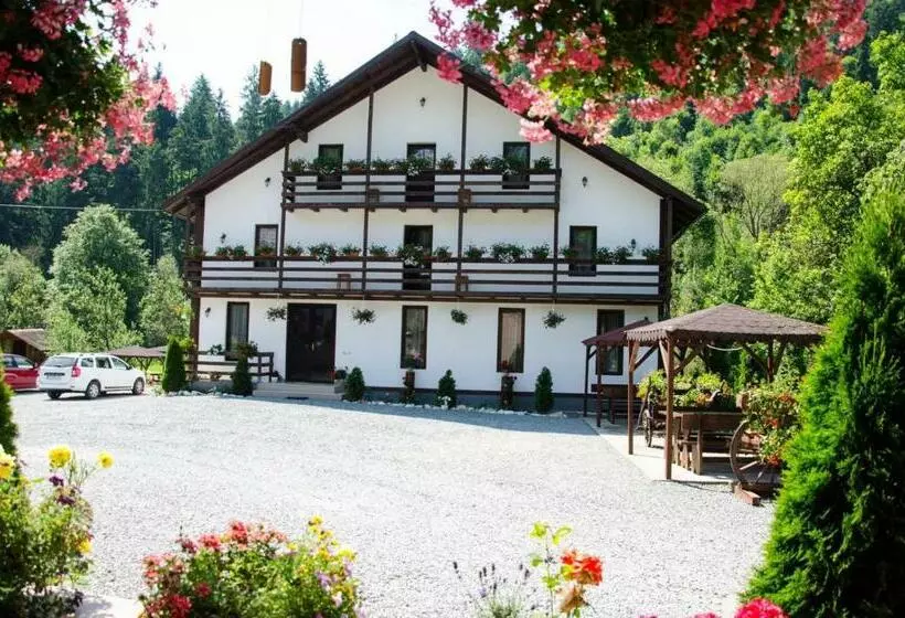 هتل Casa Ursului