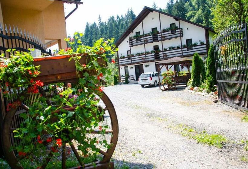 فندق Casa Ursului