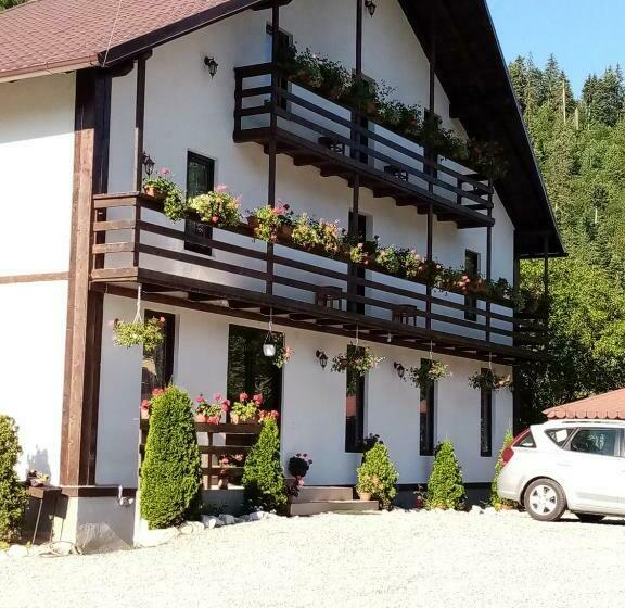 فندق Casa Ursului