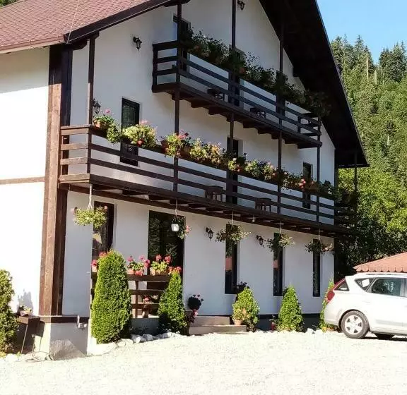 هتل Casa Ursului