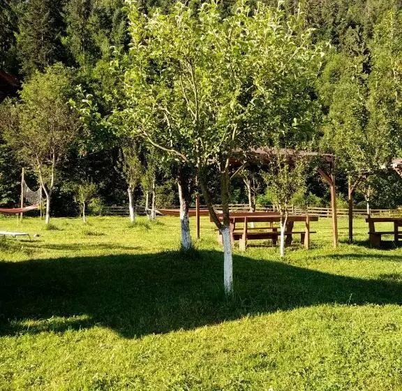 هتل Casa Ursului